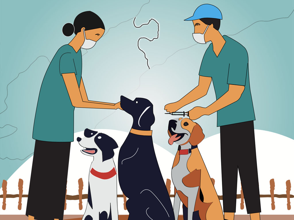 img-kc-d363 Gambar Produk Pengetahuan